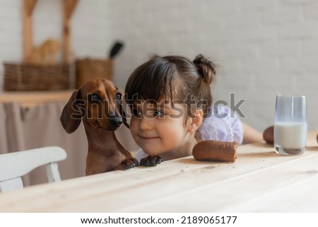 Adorable little girl with a small dachshund drinking milk in the kitchen. space for text, banner. High quality photo