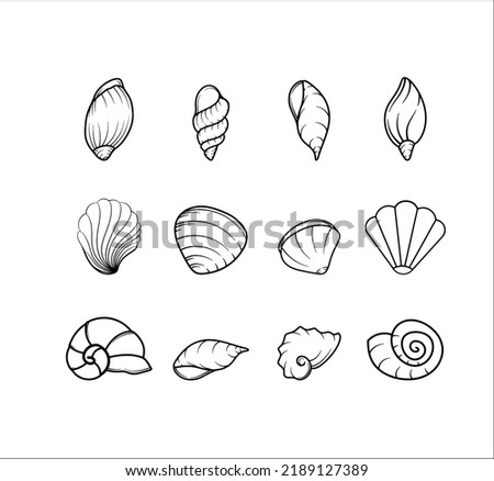 Collection of Sea Shell Animal Illustrations 