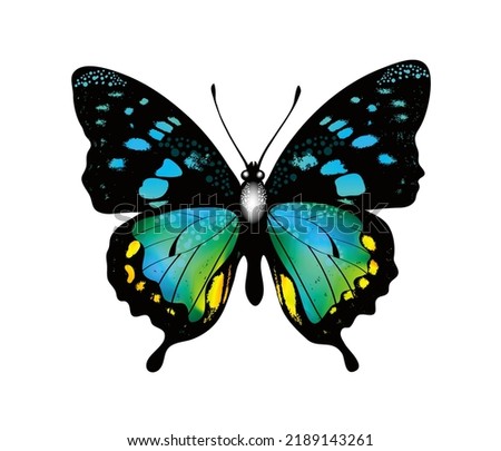 dark color butterfly clip art