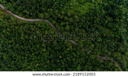 Aerial top view rural road in the forest, dirt road or mud road and rain forest, Aerial view road in nature, Ecosystem and healthy environment