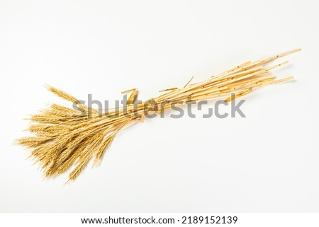 Seeds of ripe wheat on a white background. A whole crop of wheat germ. spikelet of wheat for flour from grain bread. View from above Royalty-Free Stock Photo #2189152139
