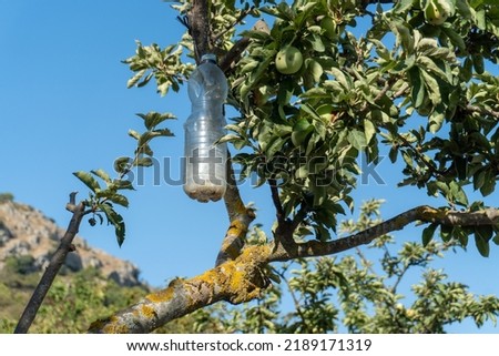 Plastic bottles hanging on tree branch with natural insecticide to control plagues.