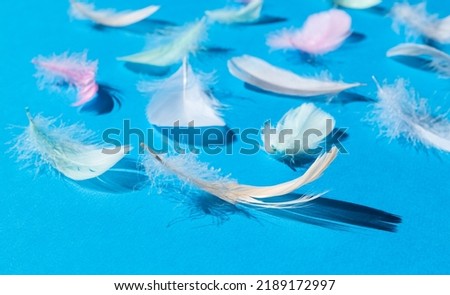 Close-up of colorful fluffy feathers on a blue background. The concept of airiness, softness. A message to the angel. Feather background.  