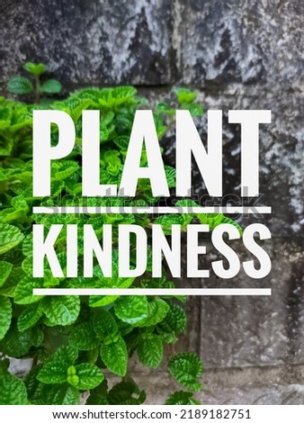 Motivational and inspirational quotes from life and plants on nature background. plant kindness quote.