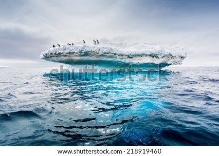Adelle penguin colony on top of iceberg