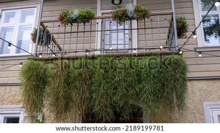 green retro balcony. hanging vines with various flowers in flower boxes.