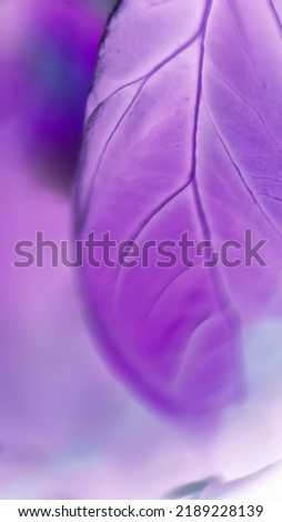 Abstract purple basilic leaf in light