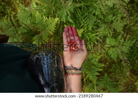 fern wild strawberry wild edible foraging dirty hands Royalty-Free Stock Photo #2189280467