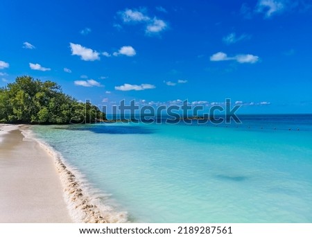 Amazing landscape panorama view with turquoise blue water palm trees blue sky and the natural tropical beach and the forest on the beautiful island of Contoy in Quintana Roo Mexico. Royalty-Free Stock Photo #2189287561