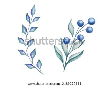 Watercolor illustration of hand painted branch with blueberries and leaves in green, blue colors. Summer, autumn harvest. Forest foliage. Isolated food clip art for pattern textile prints, poster