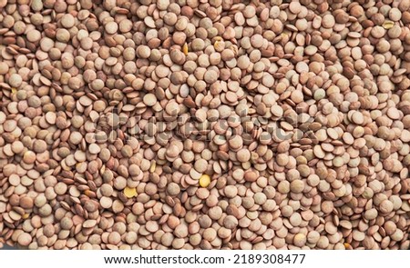 Picture of bunch of lentils image