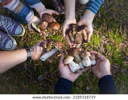 people's hands hold a collection of various freshly picked forest mushrooms. Family and friends on an interesting walk in forest and a successful mushroom picking. ecological hobby. selective focus Royalty-Free Stock Photo #2189318719