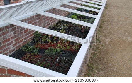 Seedling Plants Growing in a Greenhouse ColdFrame. Royalty-Free Stock Photo #2189338397