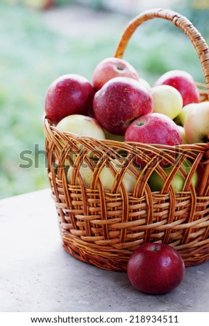 basket of organic apples on the table 