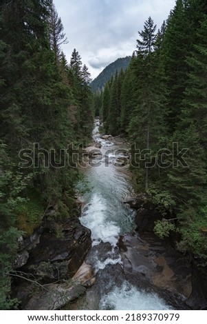 Long waterfall in the woods. Large mountain stream passes between trees in the forest. Attraction of the Paneveggio National Park, Italy. Water, power of nature and the climate emergency.