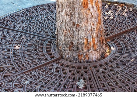 Metal drainage grate on the sidewalk around a tree in Slovakia. Royalty-Free Stock Photo #2189377465
