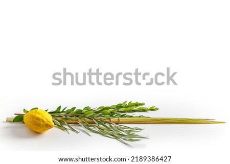 Jewish holiday of Sukkot. Traditional symbols (The four species): Etrog (citron), lulav (palm branch), hadas (myrtle), arava (willow) Royalty-Free Stock Photo #2189386427