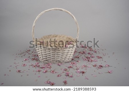 baby newborn photoshoot background backdrop white basket with fluffy furry light brown blanket on pink cherry blossoms on grey layer easter girl