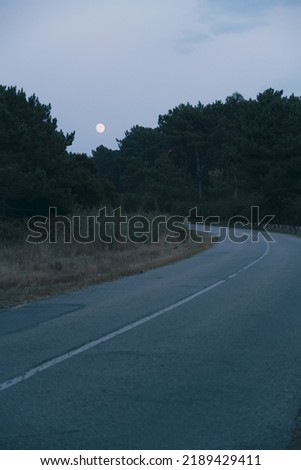 Full moon view after sunset from the forest road near São Pedro de Maceda beach in Ovar - Portugal.