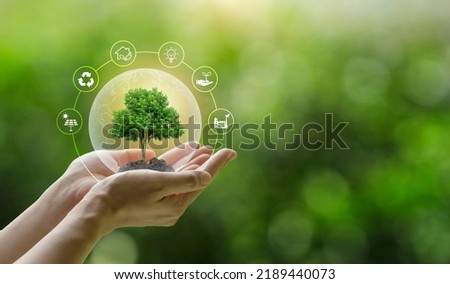 Hand holding a green tree with icons of energy sources for renewable, sustainable development. ecology and world sustainable environment concept. Saving the environment, saving the clean planet. Royalty-Free Stock Photo #2189440073