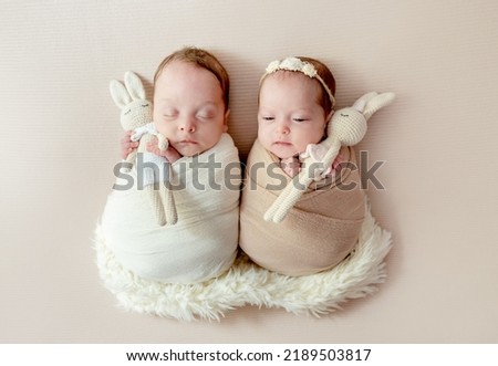 Newborn babies twins swaddled in fabric sleeping on fur. Infant child kids brother and sister studio photoshoot Royalty-Free Stock Photo #2189503817