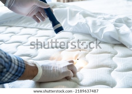 Bed Bug Infestation And Treatment Service. Bugs Extermination Royalty-Free Stock Photo #2189637487
