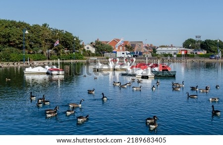 Canada geese and swan pedalo on a boating lake Royalty-Free Stock Photo #2189683405