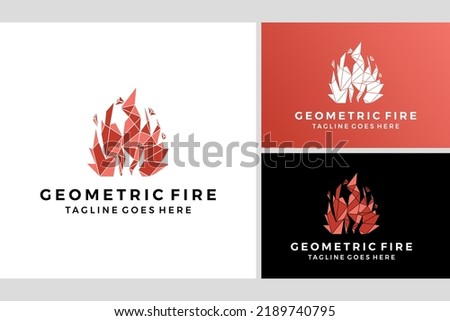 Geometric fire logo flame design vector template