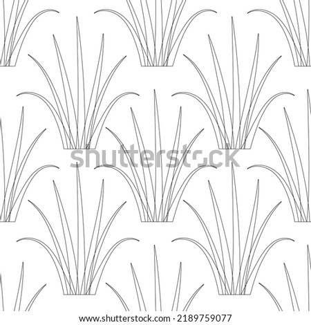 Tropical palm element background. grass  vector seamless pattern.