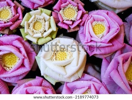                        Beautifully Prepared Lotus Flowers,
Siem Reap Cambodia        