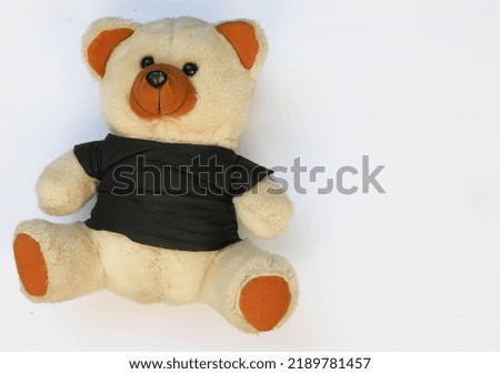 Teddy bear smiling at camera isolated on white background