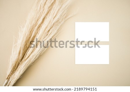 Mockup business cards with dry grass on beige background