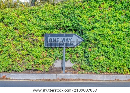 One way sign pointing to the right against the green vines - San Francisco, California. Floor-mounted street sign near the wall with crawling plants.