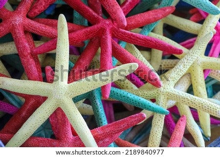 A picture of colorful starfish