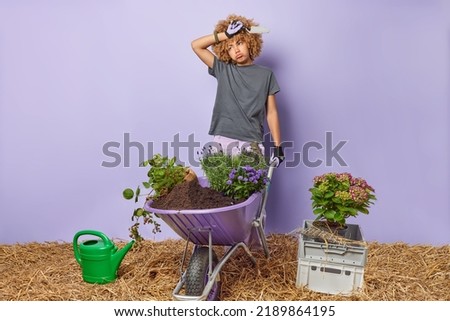 Tired female gardener wipes sweat on forehead rides wheelbarrow busy replanting flowers reorganizing flower bed surrounded by newly planted florets poses in own garden isolated over purple Royalty-Free Stock Photo #2189864195
