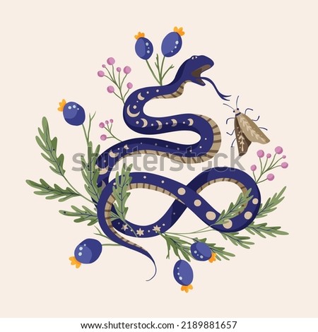 Snake illustrations vector design alchemy flower. Python tropical vintage shirt print
