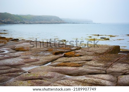 Picturesque rocky sea cost in fog morning