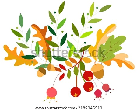 Autumn bouquet of leaves, berries and acorns. Autumn collection. For your design. Vector illustration.