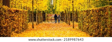 Walkway with Yellow leaves in autumn park. Banner