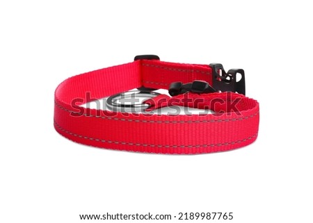 New textile dog collar isolated on white