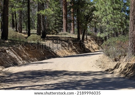 An unpaved road at San Bernardino National Forest in Southern California. Big Bear Lake road to campground and trails.