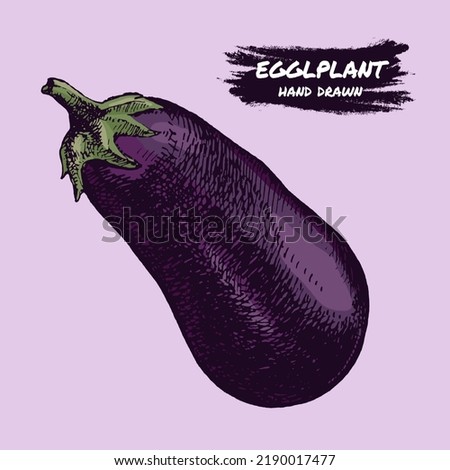 Hand drawn sketch eggplant vegetable. Eco food.