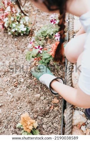 Gardener planting flowers in the garden, close up photo. Young woman learning new gardening skills. Summer gardening. copy space. bed home garden. seedling flowers into the black soil