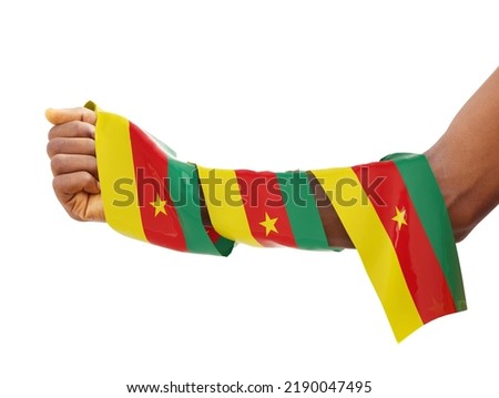 Hand wrapped in Cameroonian flag. fist with 3d rendered flag isolated on white background