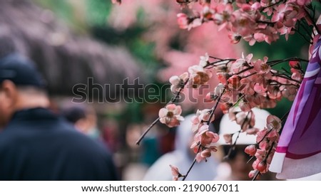 Cherry Blossoms are one of the iconic flowers from Japan that have white and pink colors and bloom throughout the city and mountains during spring.