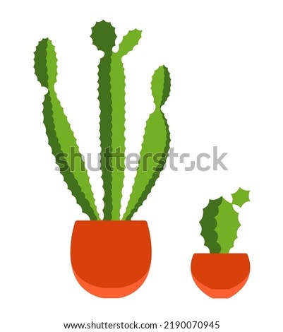 Houseplant in a flowerpot. Cactuses in a pots. Decorative home plant isolated on white background.
