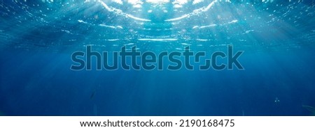Underwater coral reef on the red sea Royalty-Free Stock Photo #2190168475