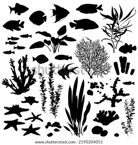 Black and white silhouette of a sea coral reef. Oceanic animal set. Illustration of underwater life.  Royalty-Free Stock Photo #2190204051