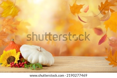 Autumn background with pumpkins and sunflower on wooden background, copy space. Halloween and Thanksgiving day