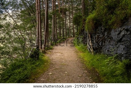 Trail path in woods. A trail in the forest Royalty-Free Stock Photo #2190278855